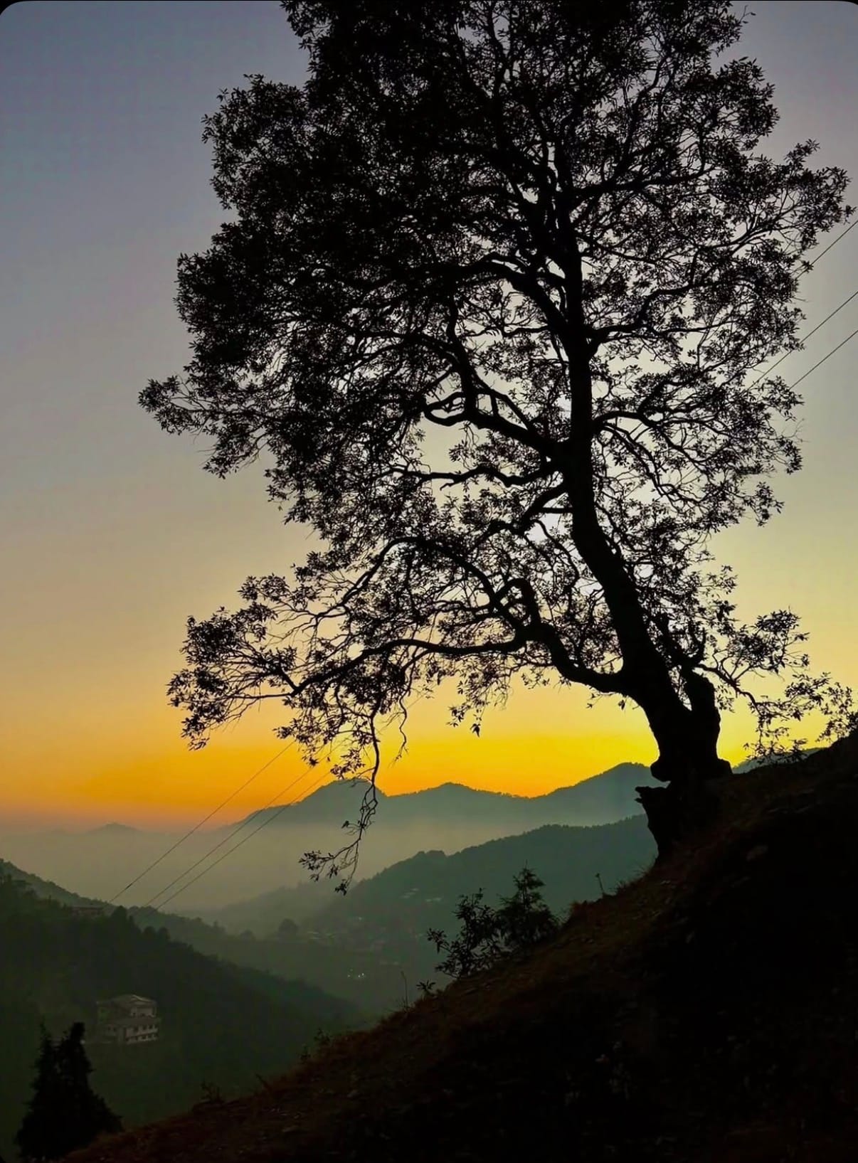 Buy a Prebuilt Luxury Villa in the Kumaon Hills — A Collection You'll Only Find at Rajwar Construction